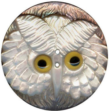 Shell Owl with OME