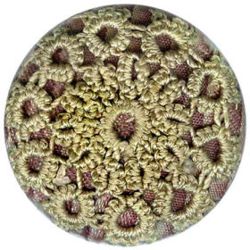 5-1 Worked - Tatting on woven base (1-1/8") 5-1 Worked - Tatting on woven base (1-1/8")