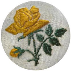 5-3.1 Embroidered Woven Cover - "Cash" (3/4") 5-3.1 Embroidered Woven Cover - "Cash" (3/4")
