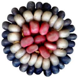 5-7.1 Beads - Dyed Bone  (7/16")