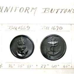 Examples of Division II British Uniform Buttons (See how shank is molded into horn body)