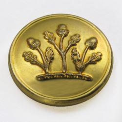 25-5.2.2.3 Plants (corresponds to Sec. 19 - Acorns) - Acorn branches surmounting a torse - gilded brass - cuff size 5/8"