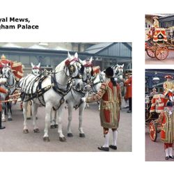 The Royal Mews of Buckingham Place