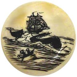 15-3.4.2 Ivory Assorted - Working Methods Asst. - Engraved Scrimshaw