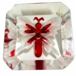 12-2.2 Thermoplastic Types Assorted - Acrylic resin - Lucite