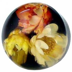 12-2.2 Thermoplastic Types Assorted - Acrylic resin 12-2.2 Thermoplastic Types Assorted - Acrylic resin