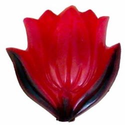 12-2.3 Thermoplastic Types Assorted - Cellulose Acetate 12-2.3 Thermoplastic Types Assorted - Cellulose Acetate