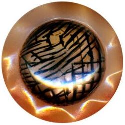 12-9 Other Material Embellishment (OME) - Celluloid 12-9 Other Material Embellishment (OME) - Celluloid